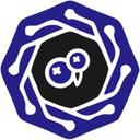 blueberry security