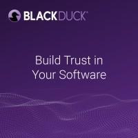 synopsys software integrity