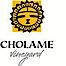 Cholame Vineyard