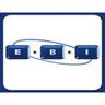 EBI Supply Chain Consulting logo