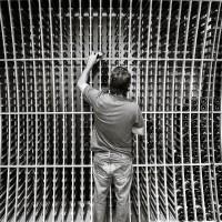 Cellar Creations