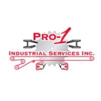 Pro One Industrial Services Inc