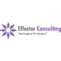 Effector Consulting