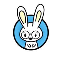 CLEVER BUNNY LTD