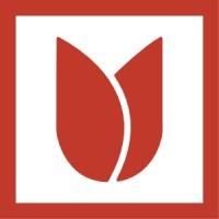 Red Tulip - web design and consulting services