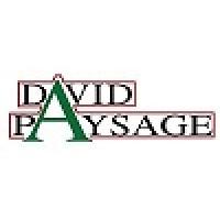 DAVID PAYSAGE
