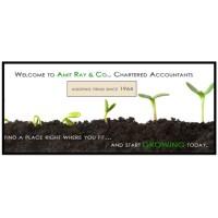 Amit Ray & Co; Chartered Accountants