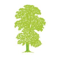 Beech Tree Property Management