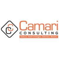 Camari Consulting Ltd