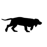 Black Dog Rare Books