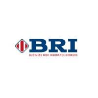 BRI BROKERS SA