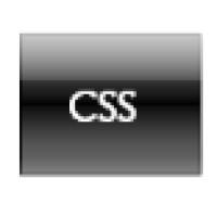 CSS Consulting Group LLC