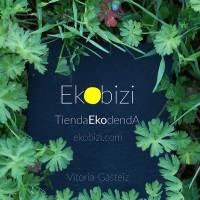 Ekobizi.com