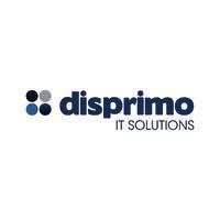 Disprimo IT Solutions