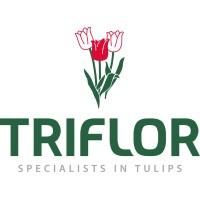 Triflor