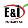 Emirates E&I logo