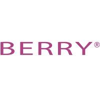 Shanghai Berry Electronic Technology