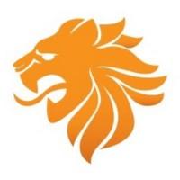 De Boer Tool